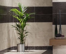 Removing a Stain Left By a Potted Plant
