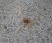 How To Remove A Terrazzo Stain