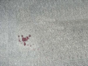 Blood Stain on Carpet